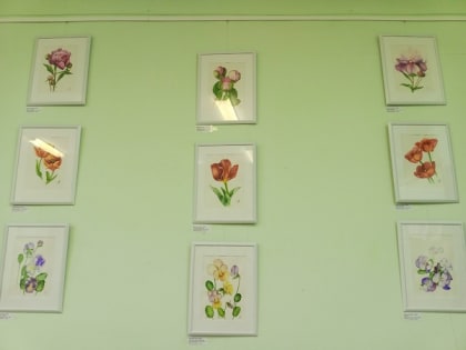 В Рузской библиотеке открылась выставка картин Ирины Носовской