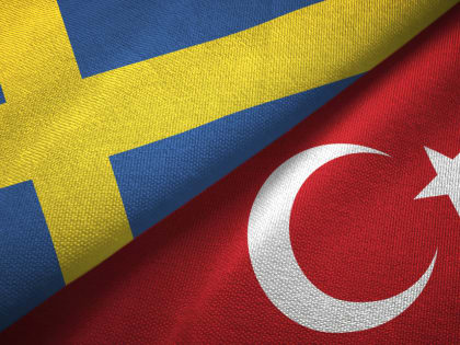 СМИ узнали, когда Турция ратифицирует заявку Швеции на вступление в НАТО