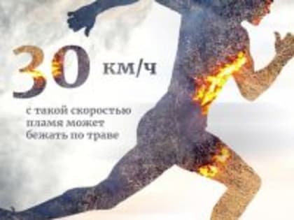 Лыткаринцы, не жгите траву: за это предусмотрена административная ответственность&nbsp;