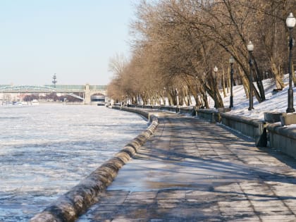 Москвичам рассказали о погоде на 8 марта