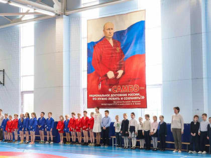 В гимназии имени Подольских курсантов открыли секцию самбо