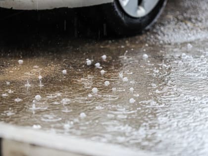 Синоптик Леус спрогнозировал дожди и&nbsp;потепление в&nbsp;Москве