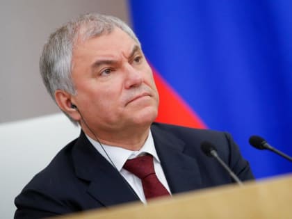 Спикер Госдумы Володин предложил конфисковывать имущество россиян, покинувших страну и оскорбляющих ее за рубежом