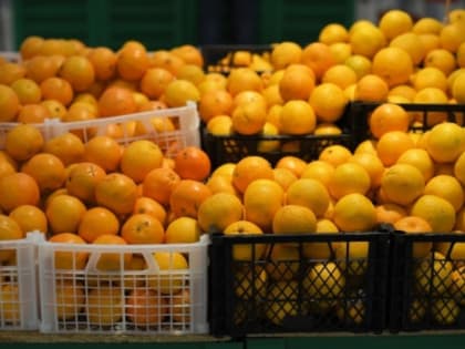 Врач предупредила об осторожности в употреблении мандаринов