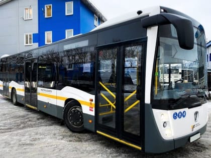 В Люберцы поступили 12 новых низкопольных автобусов