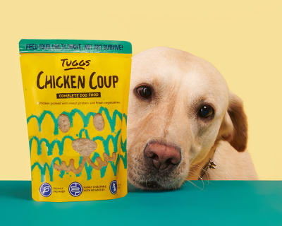 Chicken Coup