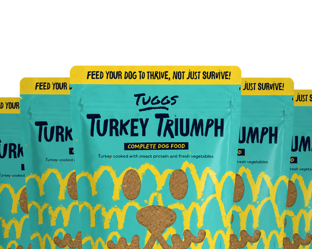 Turkey Triumph