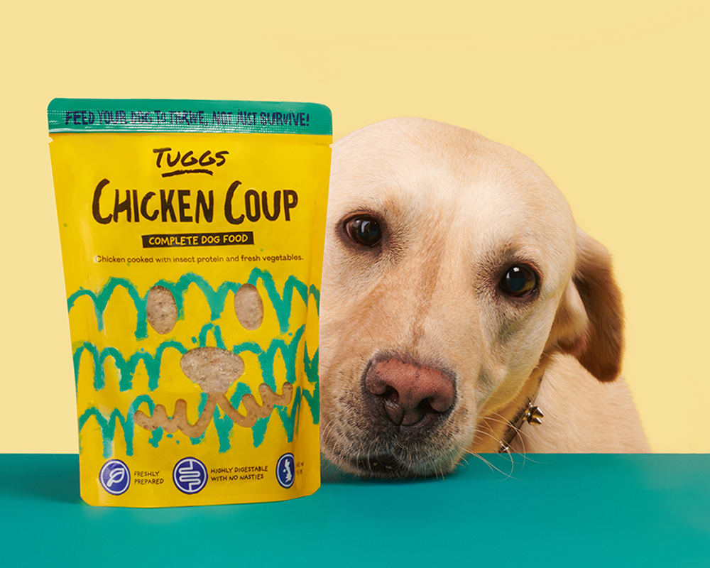 Chicken Coup