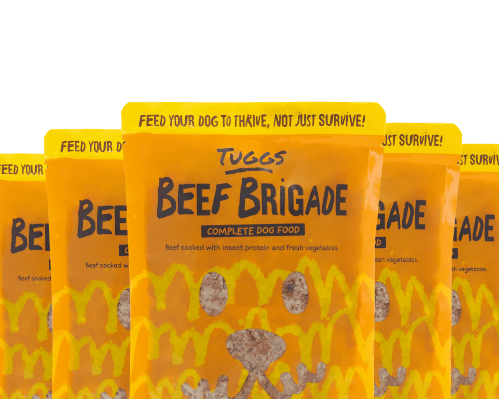 Beef Brigade