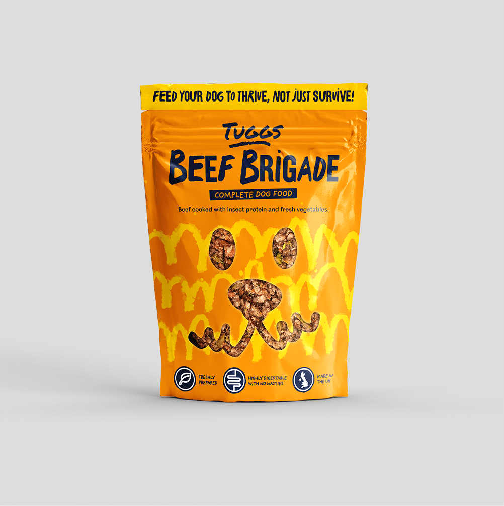 Pouch of Beef Brigade against a grey background