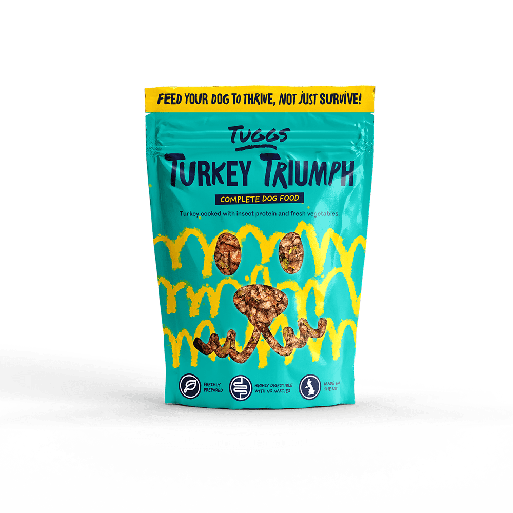 Turkey Triumph