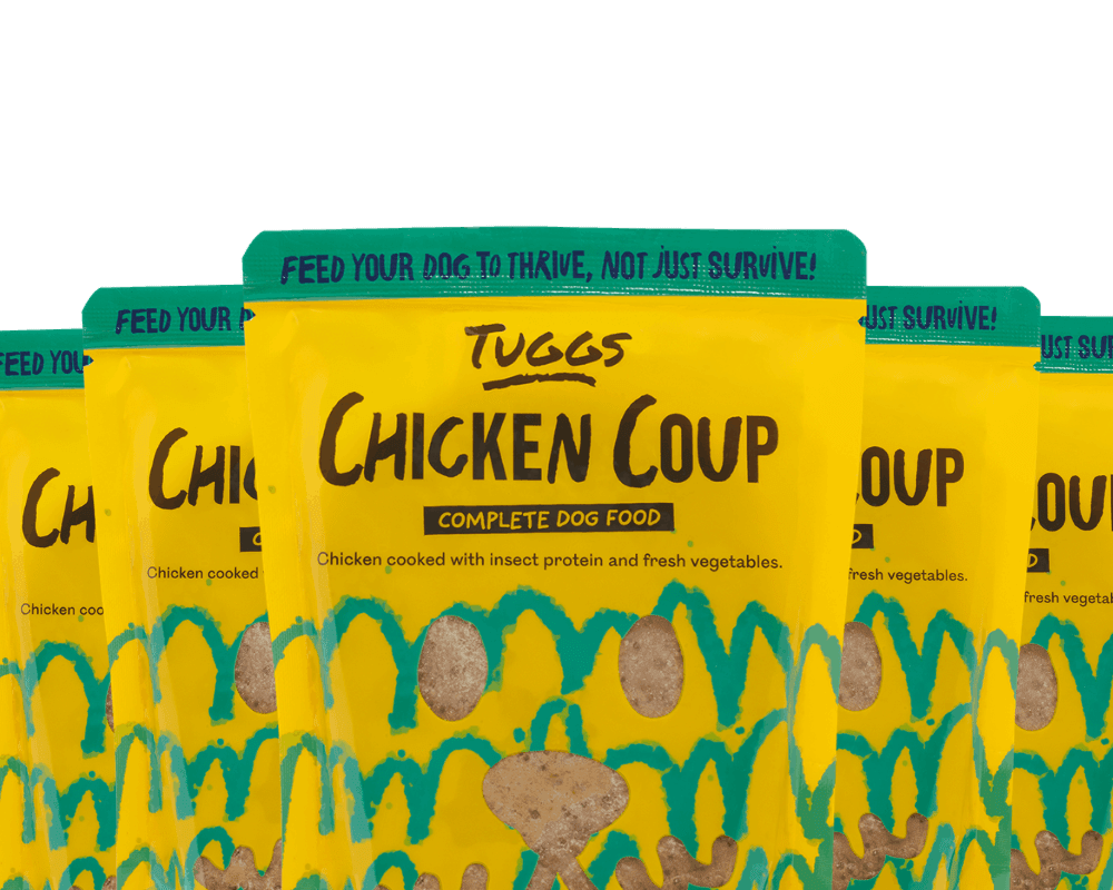 Chicken Coup