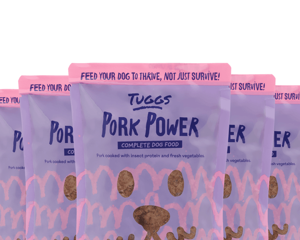 Pork Power