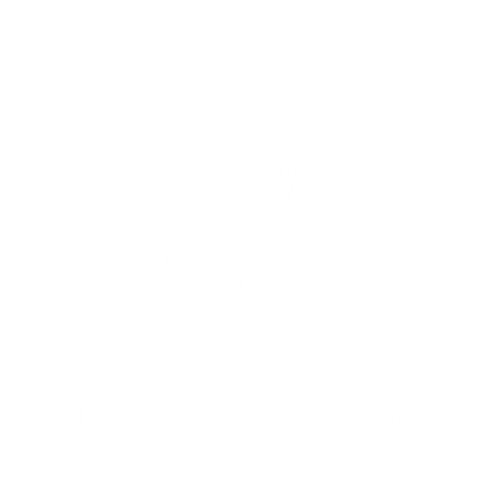 logos_aliados