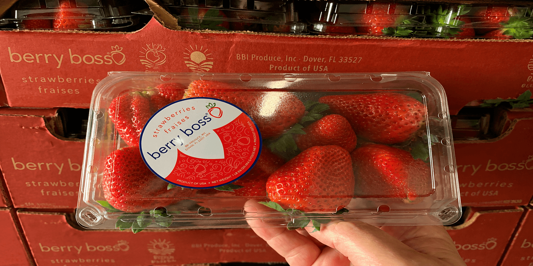 Strawberry Farm Owner