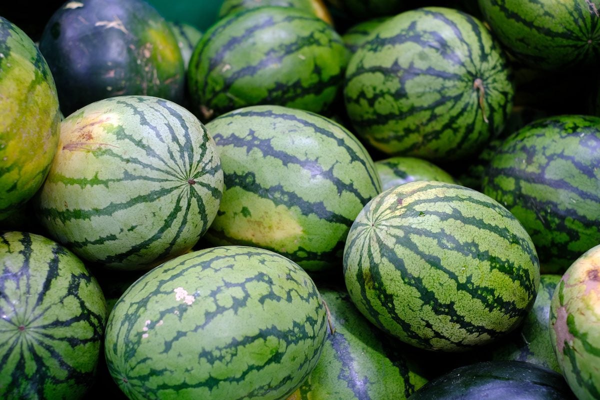 Watermelon Farm Owner Sees Strong