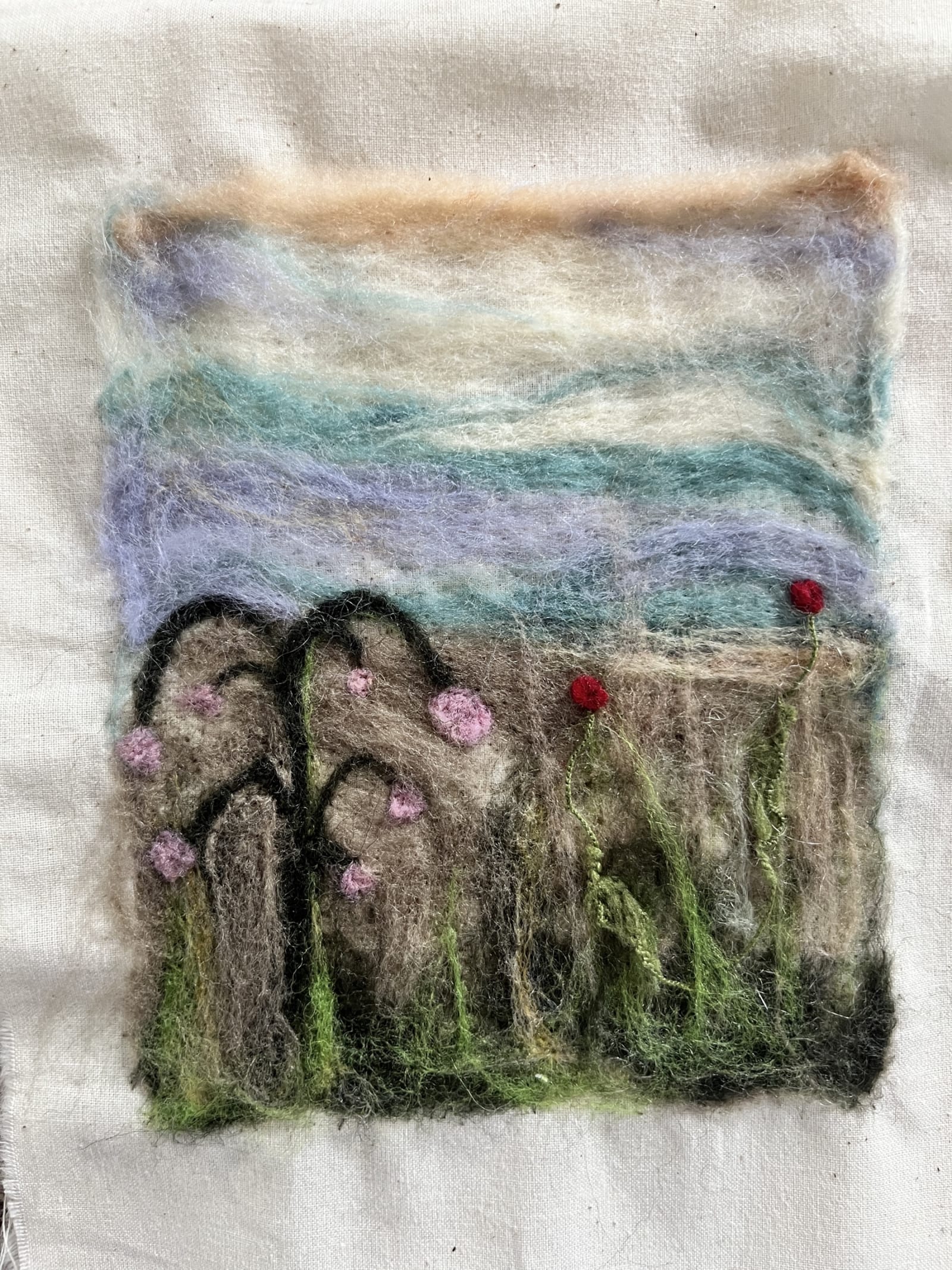 Dry felted knit — result 1