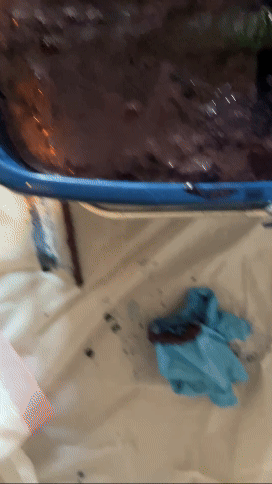 Indigo dye bath