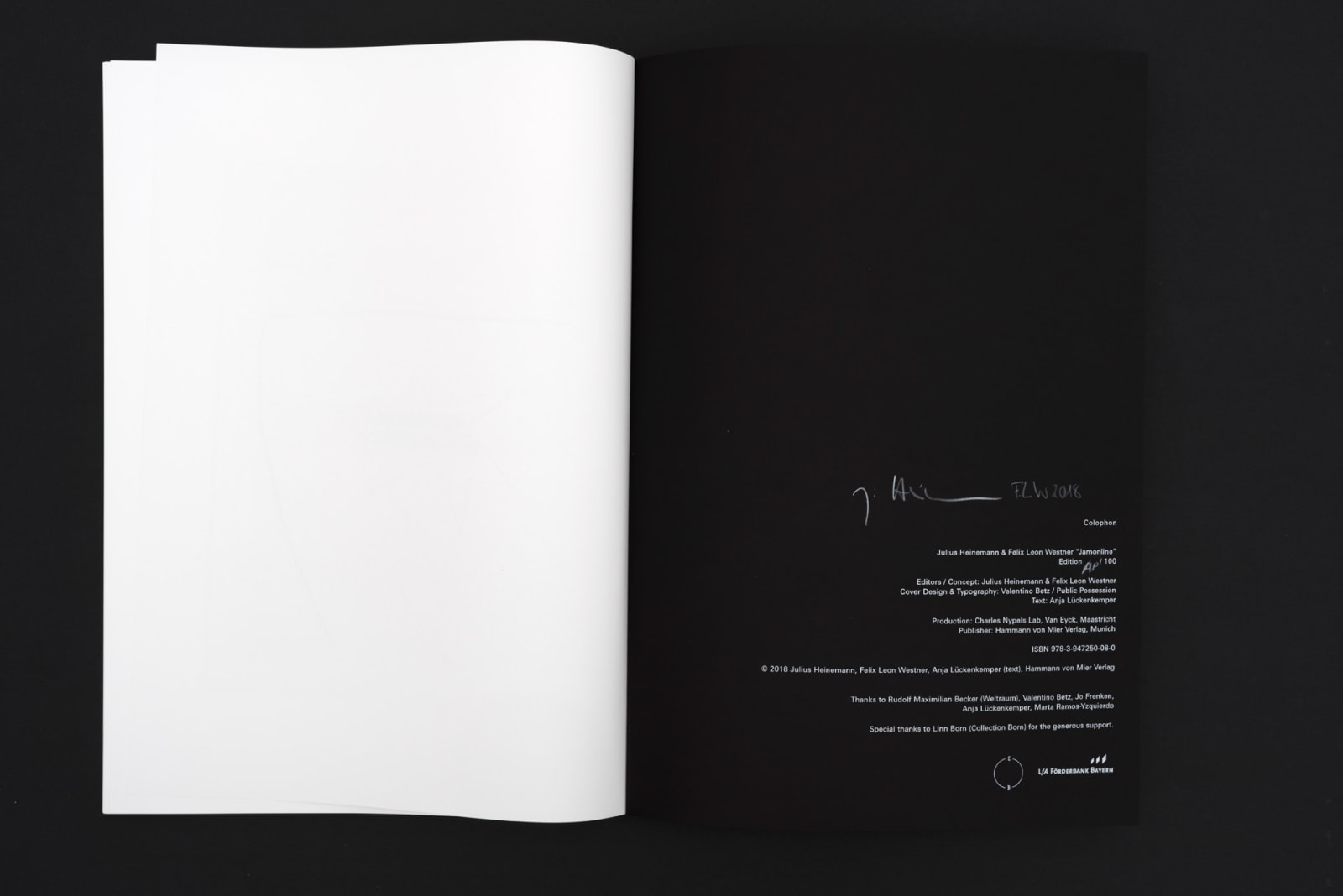 Julius Heinemann & Felix Leon Westner – Jamonline