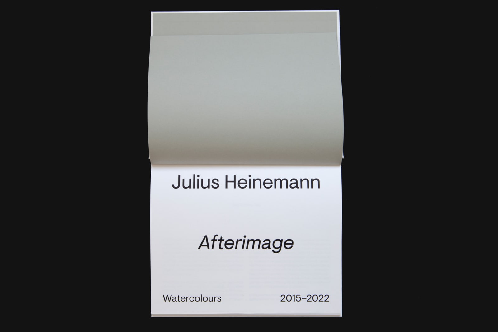 Julius Heinemann – Afterimage