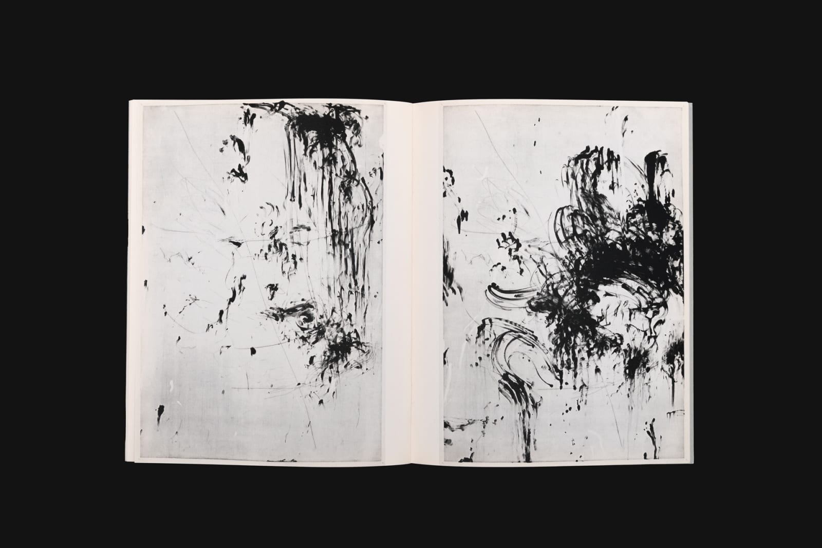 Julius Heinemann & Edgar Leciejewski – null