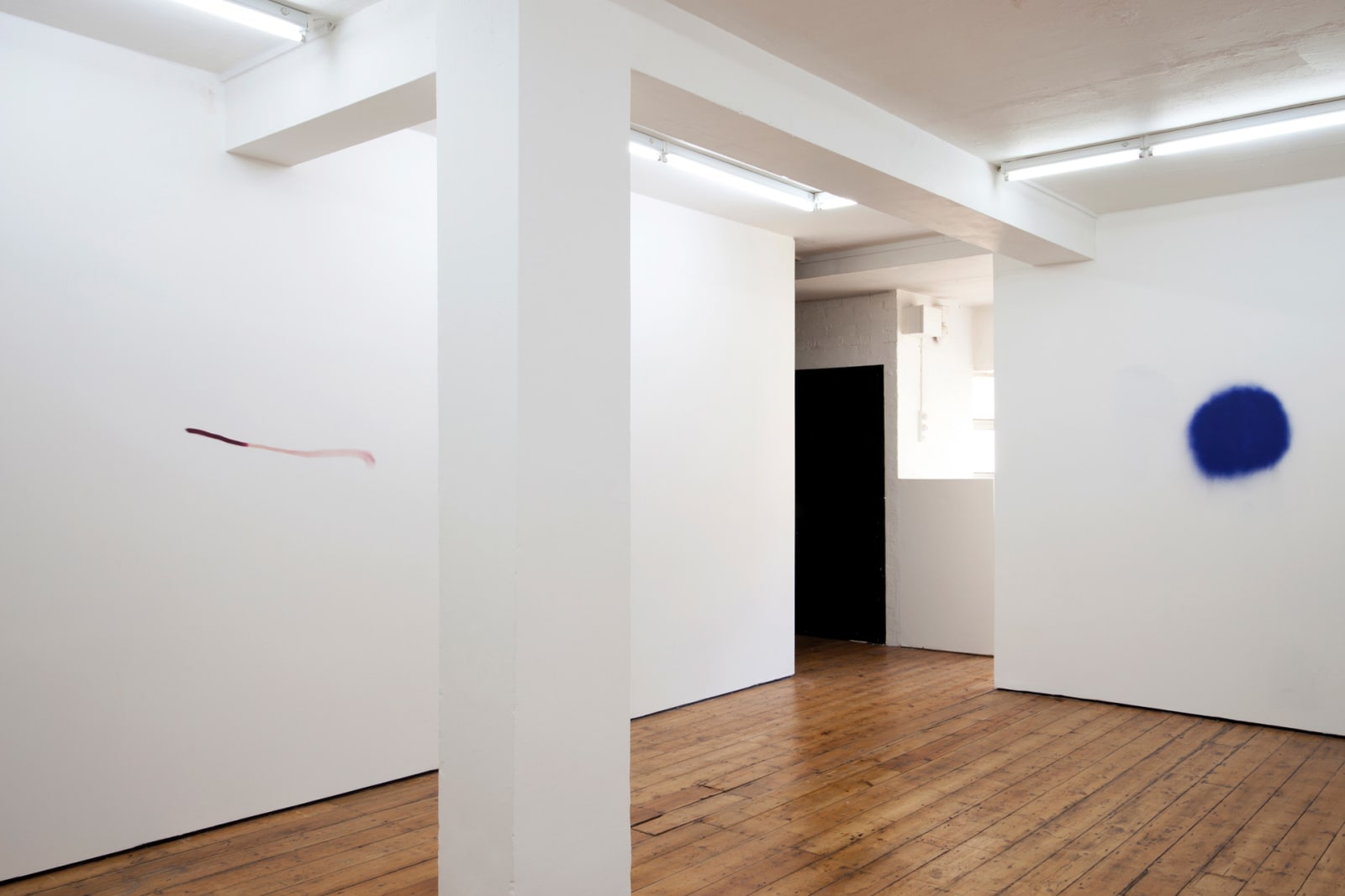 Image from 270 x 679 x 542