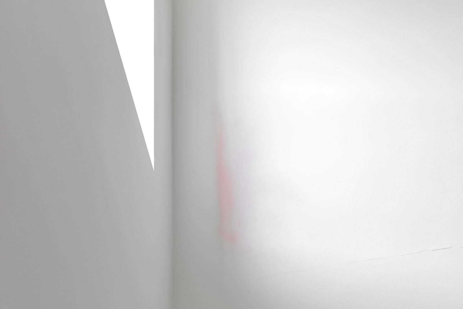 Image from Camera Lucida