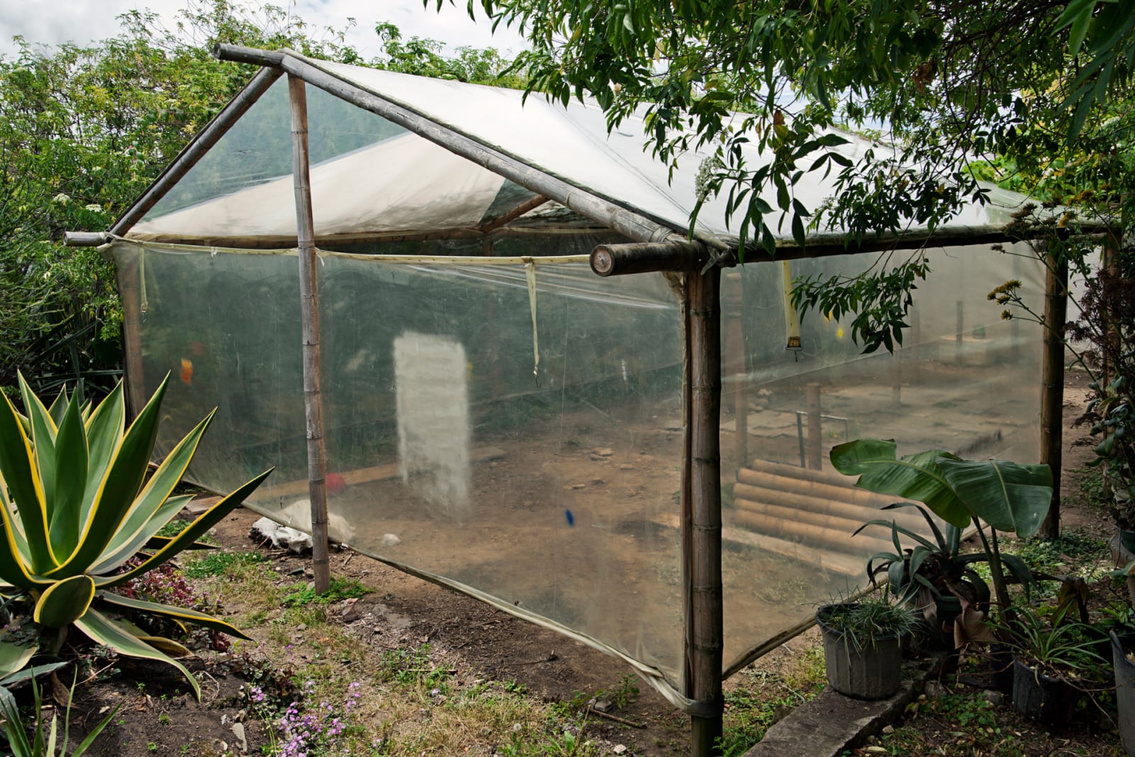 Image from Casa de Vidrio