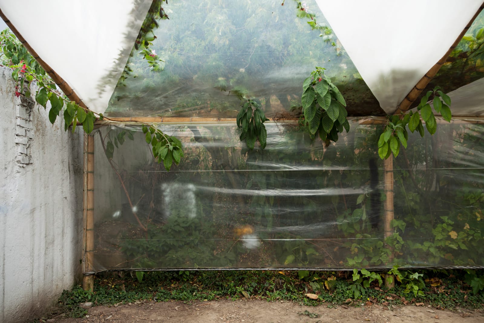 Image from Casa de Vidrio