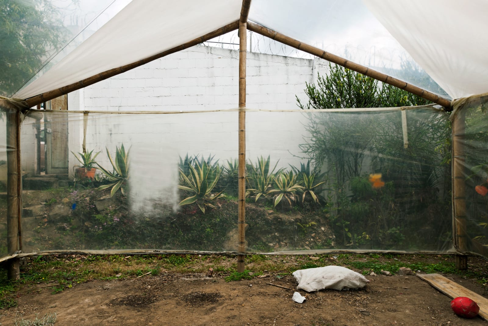 Image from Casa de Vidrio