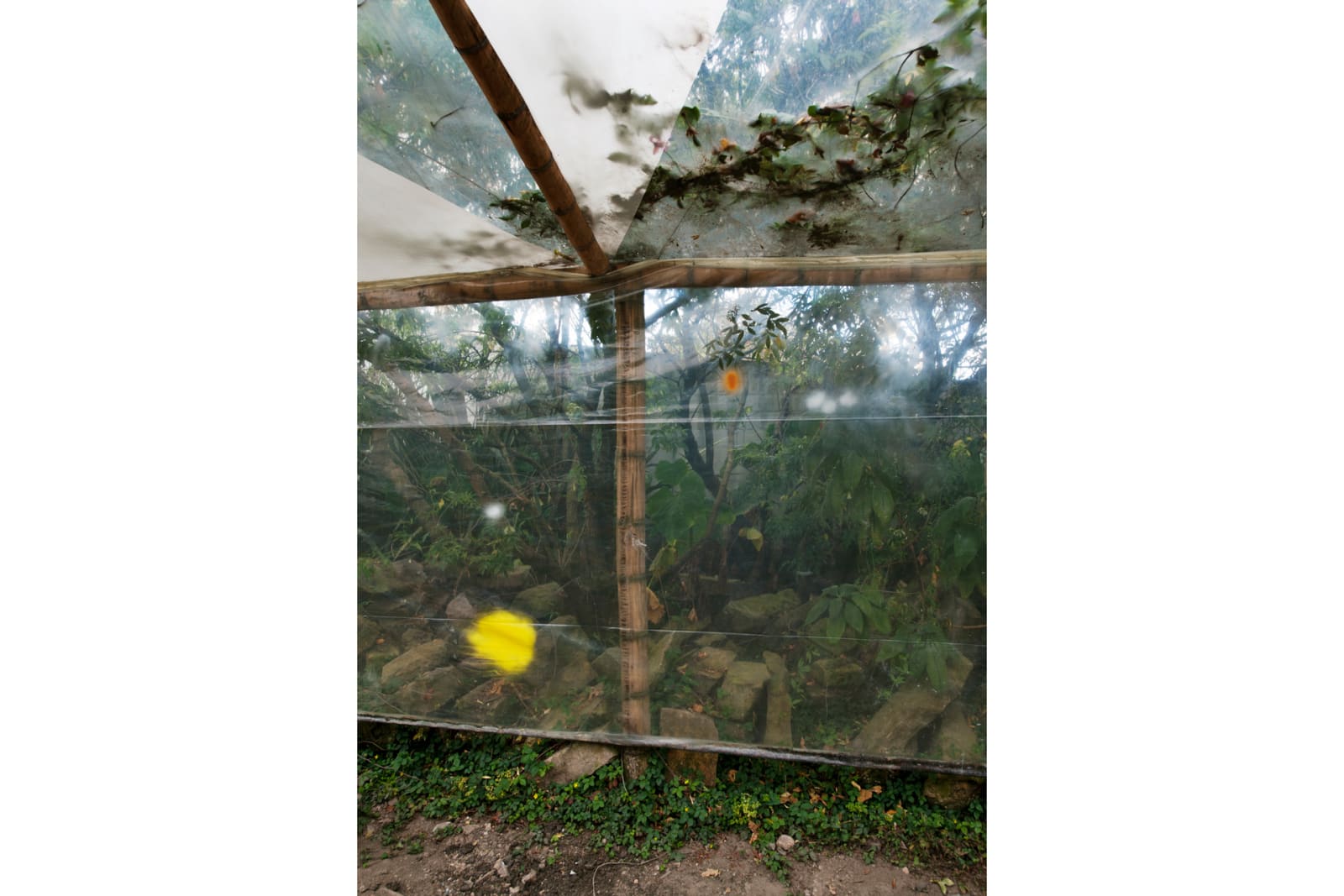 Image from Casa de Vidrio