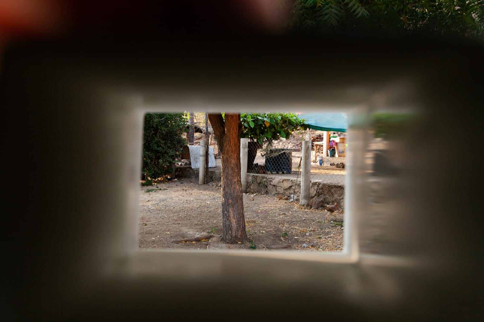 Image from Pabellón de Lectura (Hidalgo, México)