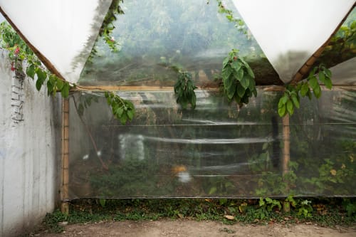 Casa de Vidrio (Bogotá)