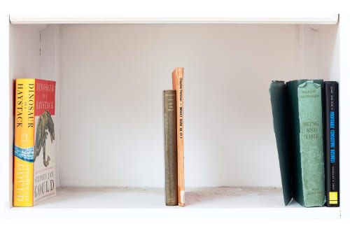 Unpacking (John Latham’s Library)