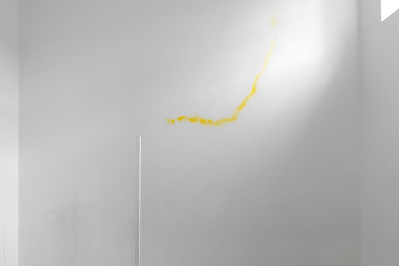 Image from Camera Lucida