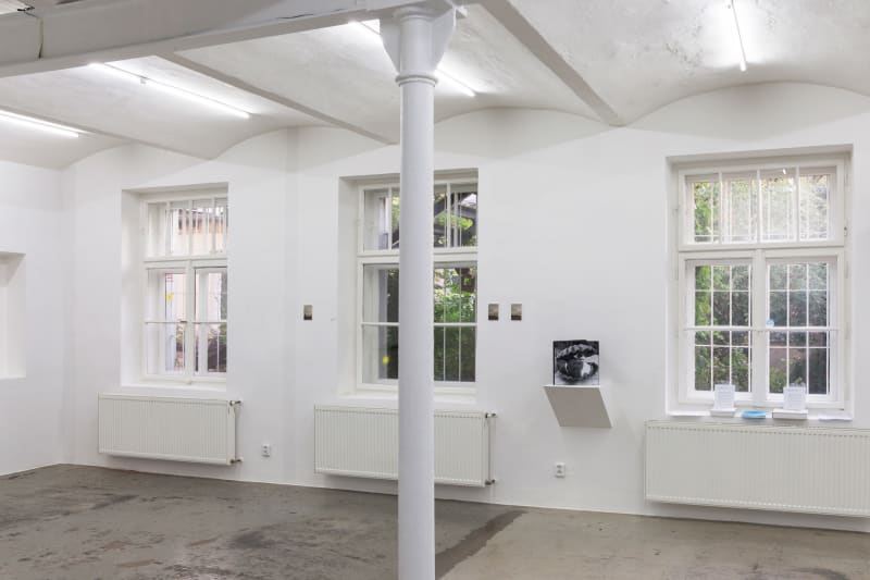 Image from Distress Over Parliament