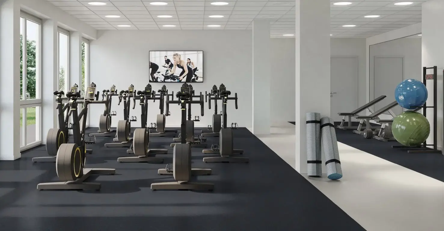 Gạch cao su phòng GYM ErgoFloor Sự lựa chọn tốt nhất cho phòng tập Gym của bạn