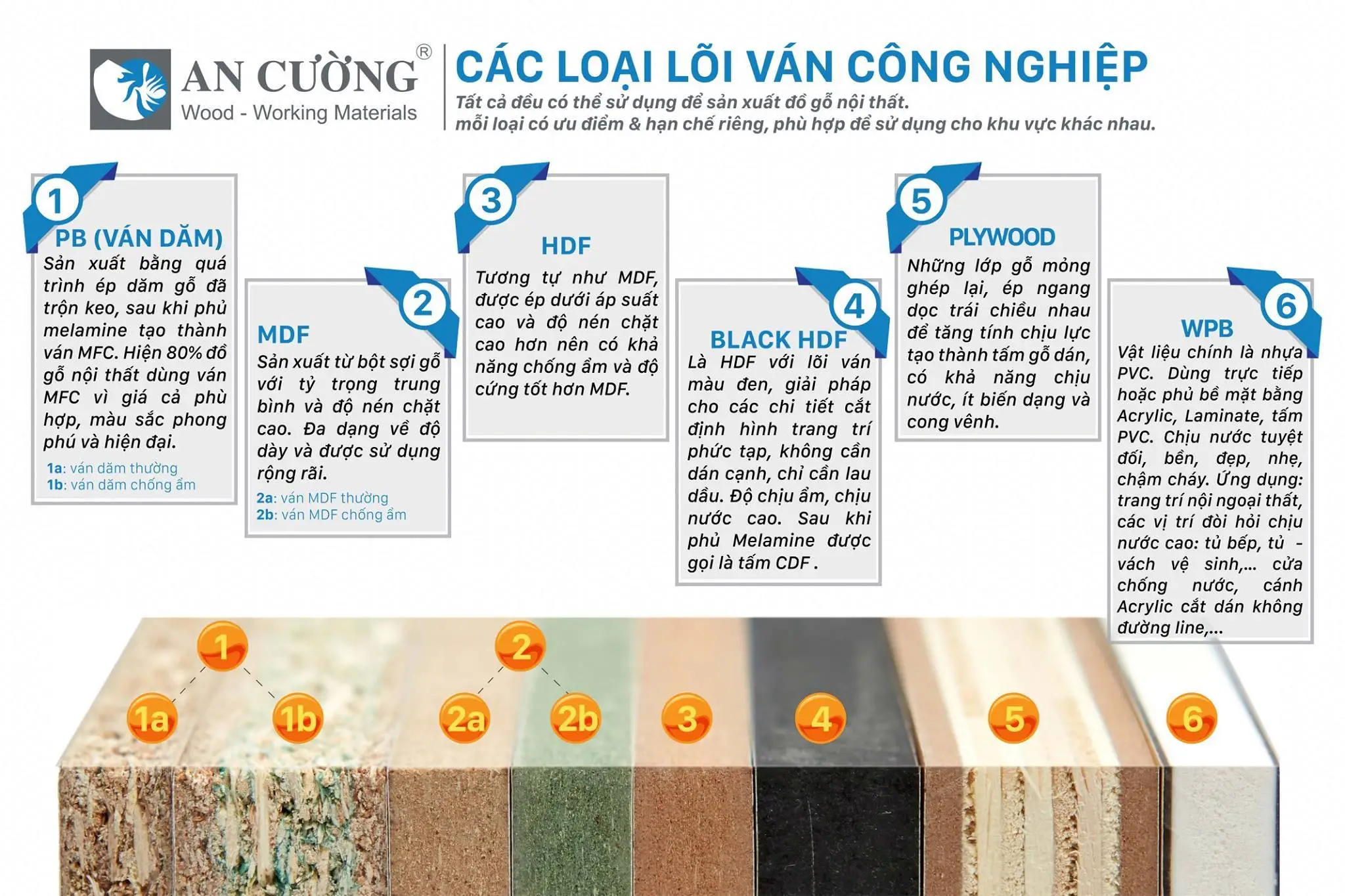 Top 6 Loại tấm ốp tường đẹp thông dụng nhất 2024 Top 6 Loại tấm ốp tường đẹp thông dụng nhất 2024
