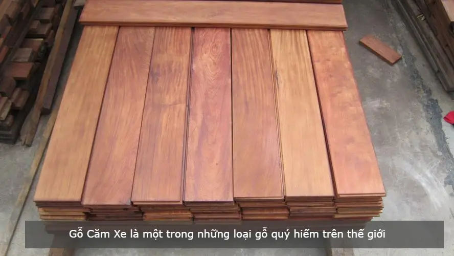 Top 5 sàn gỗ tự nhiên được lựa chọn nhiều Top 5 sàn gỗ tự nhiên được lựa chọn nhiều