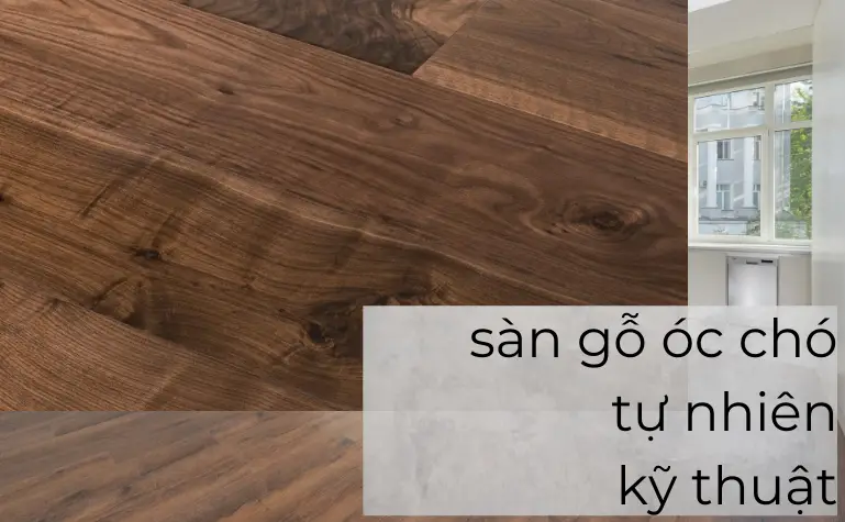Vẻ Đẹp Vĩnh Cửu Của Sàn Gỗ Óc Chó Trong Không Gian Sống Hiện Đại