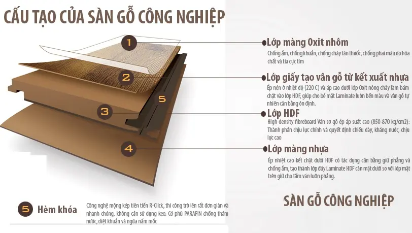 Sàn Gỗ Căn Hộ: Lựa chọn tối ưu cho không gian sống hiện đại Sàn Gỗ Căn Hộ: Lựa chọn tối ưu cho không gian sống hiện đại