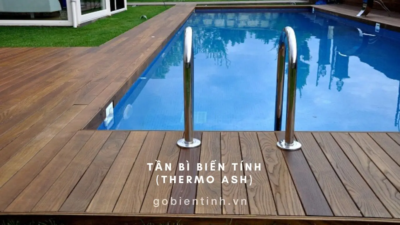 Sàn Gỗ, Lan Can, Hàng Rào Ngoài Trời Bằng Gỗ Biến Tính