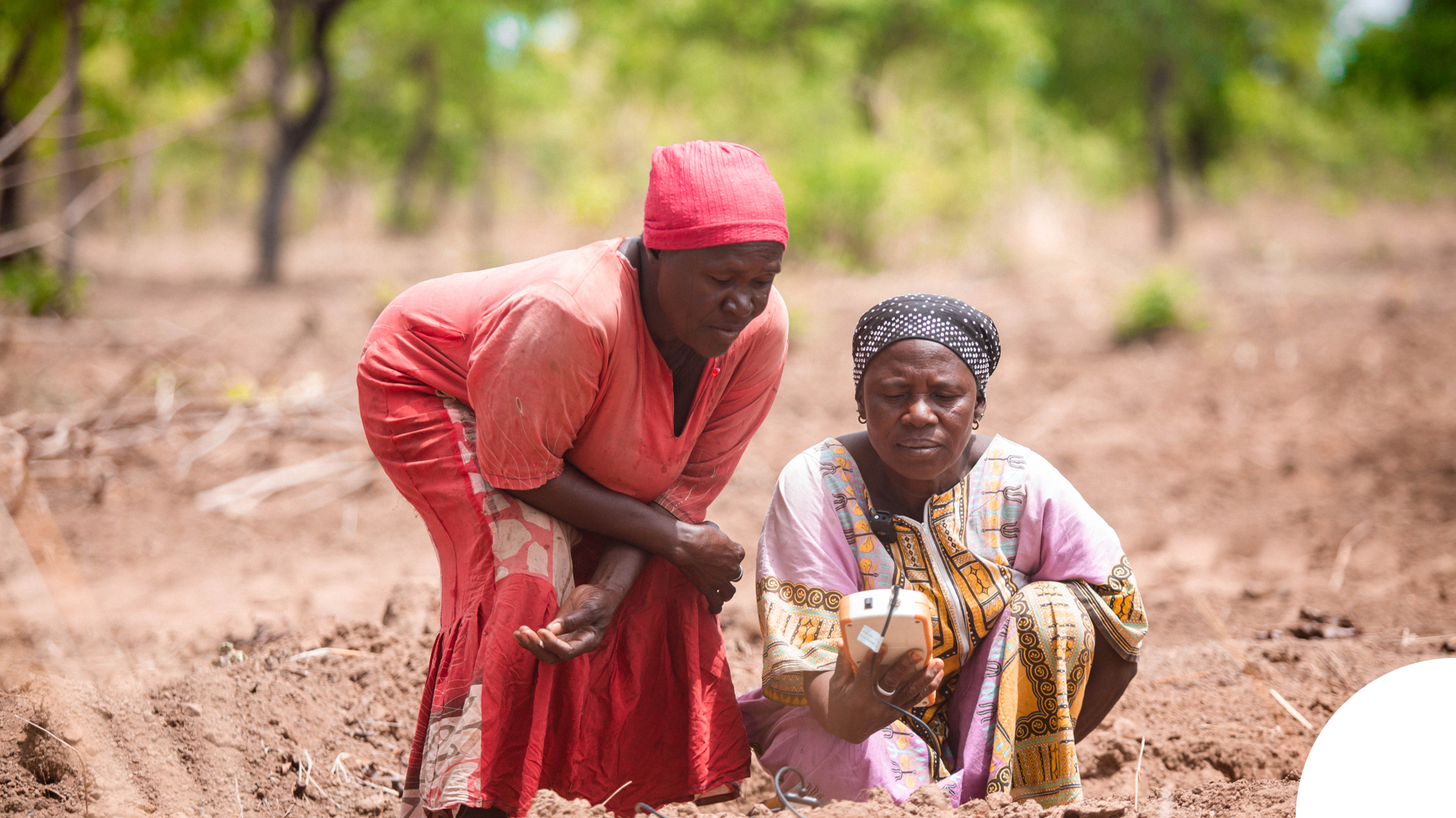 Womem farmers using FarmSense Device