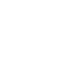 Secure Digital Governance