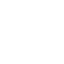 Government Payment Applications
