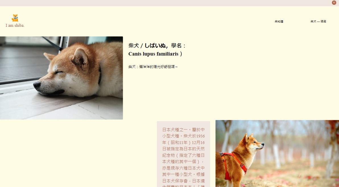 柴犬介紹網—祿蔣