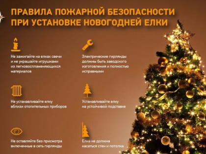 Ёлочка, не гори!