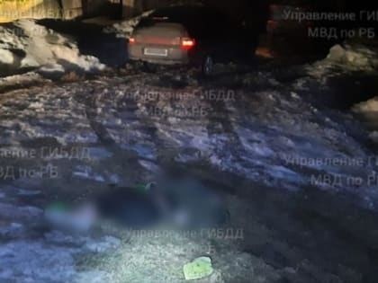 В Башкирии ночью насмерть сбили двух пешеходов