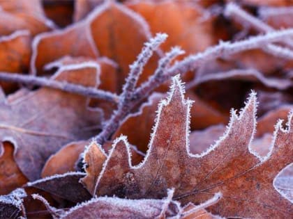 В Башкирии ожидаются заморозки до -6°