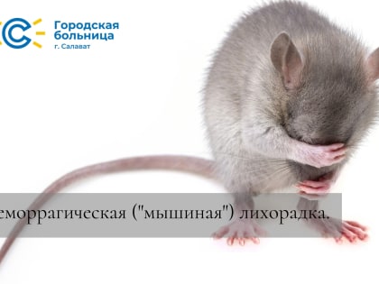 Геморрагическая «мышиная» лихорадка